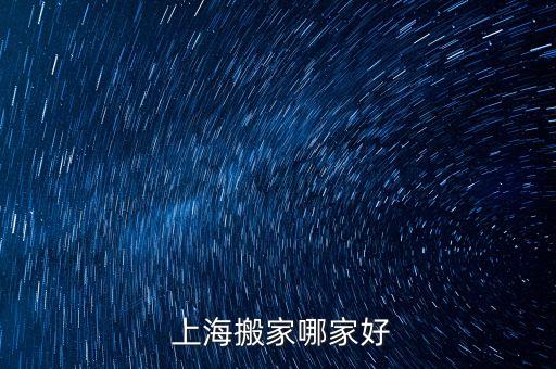 上海中儲(chǔ)臨港物流有限公司,青島中儲(chǔ)物流有限公司