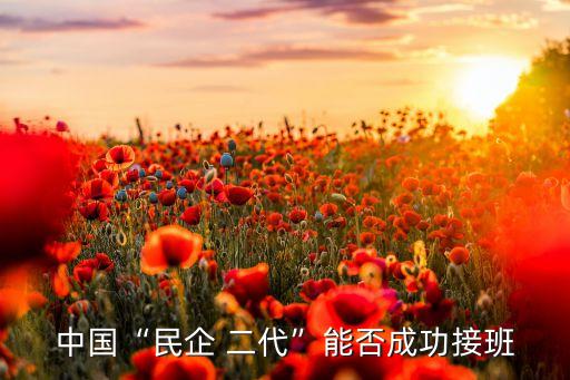 中國(guó)“民企 二代”能否成功接班