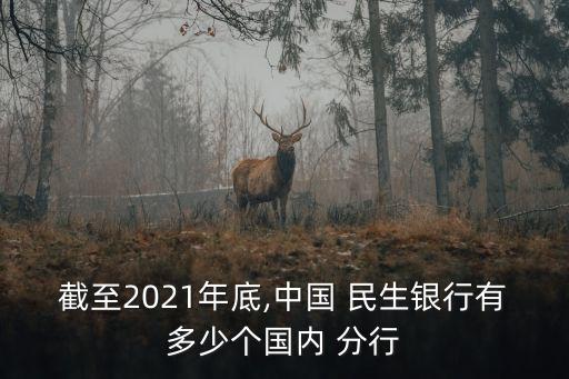截至2021年底,中國(guó) 民生銀行有多少個(gè)國(guó)內(nèi) 分行