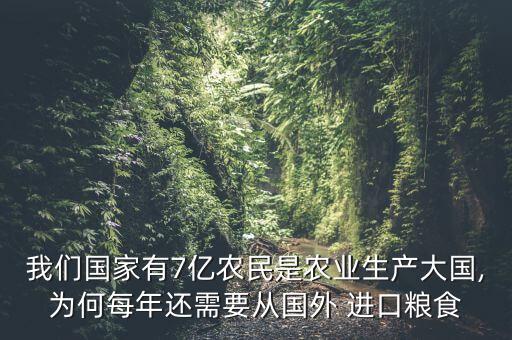 我們國家有7億農(nóng)民是農(nóng)業(yè)生產(chǎn)大國,為何每年還需要從國外 進口糧食