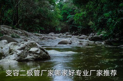 變?nèi)荻O管廠家哪家好專業(yè)廠家推薦