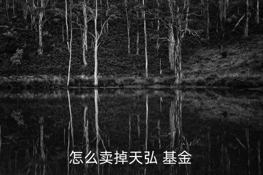 怎么賣掉天弘 基金