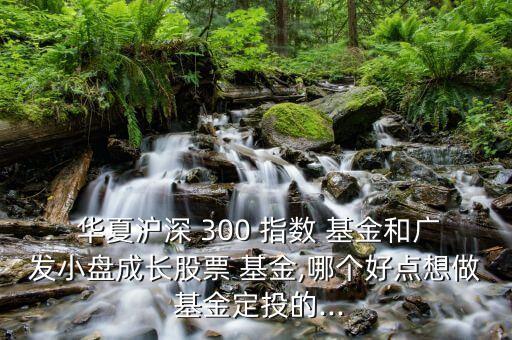  華夏滬深 300 指數(shù) 基金和廣發(fā)小盤成長(zhǎng)股票 基金,哪個(gè)好點(diǎn)想做 基金定投的...