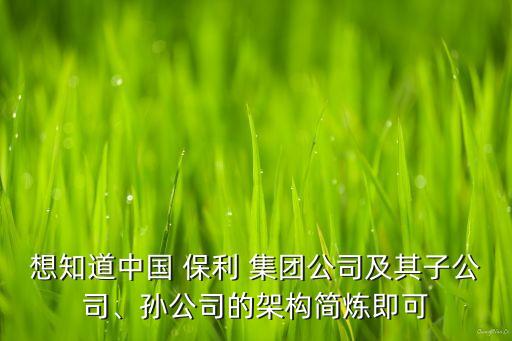 想知道中國 保利 集團(tuán)公司及其子公司、孫公司的架構(gòu)簡煉即可