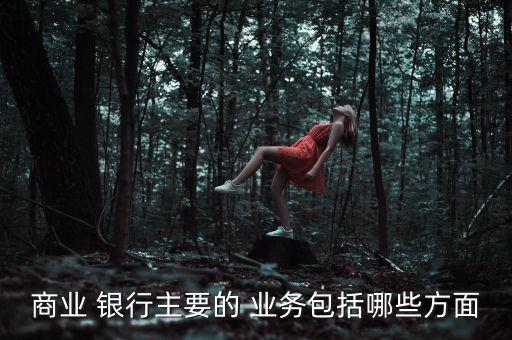 商業(yè) 銀行主要的 業(yè)務包括哪些方面