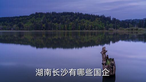 湖南長(zhǎng)沙有哪些國(guó)企