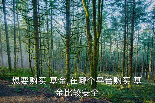 想要購買 基金,在哪個(gè)平臺(tái)購買 基金比較安全