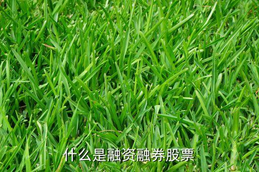 什么是融資融券股票