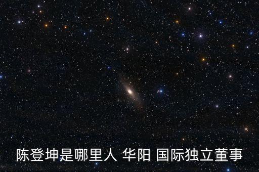 陳登坤是哪里人 華陽 國際獨立董事