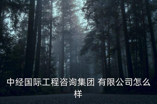 中經(jīng)國(guó)際工程咨詢集團(tuán) 有限公司怎么樣