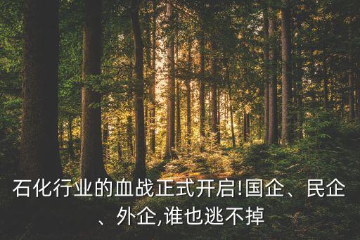 石化行業(yè)的血戰(zhàn)正式開(kāi)啟!國(guó)企、民企、外企,誰(shuí)也逃不掉