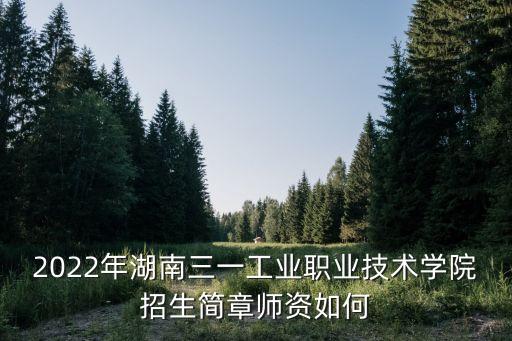 2022年湖南三一工業(yè)職業(yè)技術(shù)學院招生簡章師資如何