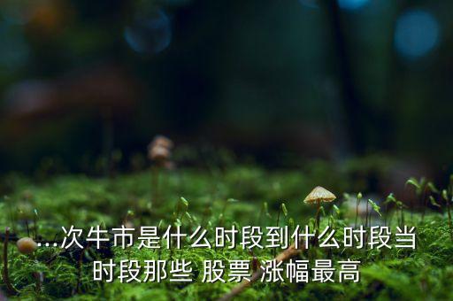 ...次牛市是什么時段到什么時段當(dāng)時段那些 股票 漲幅最高