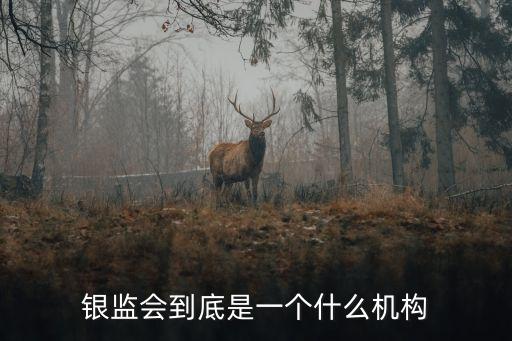 銀監(jiān)會到底是一個什么機構