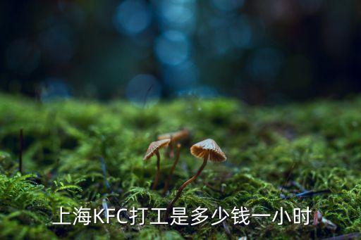 上?？系禄磕昙庸べY嗎