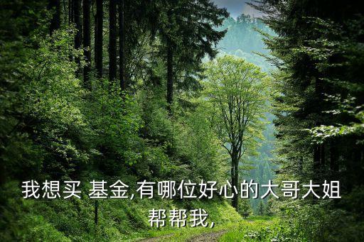 我想買 基金,有哪位好心的大哥大姐幫幫我,