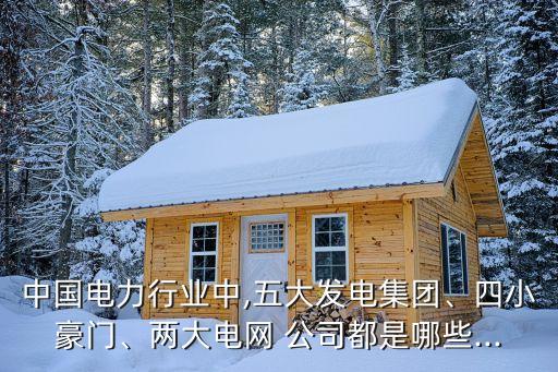 中國(guó)電力行業(yè)中,五大發(fā)電集團(tuán)、四小豪門、兩大電網(wǎng) 公司都是哪些...