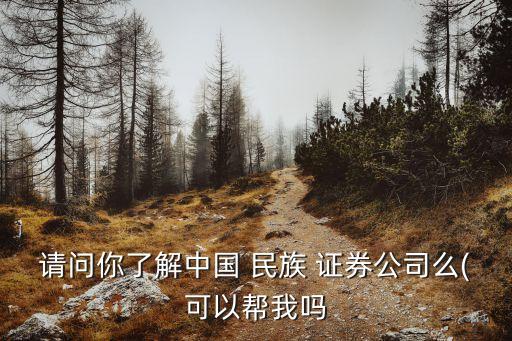 請(qǐng)問(wèn)你了解中國(guó) 民族 證券公司么(可以幫我嗎