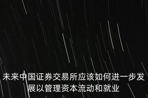 未來中國證券交易所應(yīng)該如何進(jìn)一步發(fā)展以管理資本流動(dòng)和就業(yè)