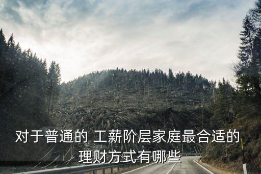 對于普通的 工薪階層家庭最合適的 理財(cái)方式有哪些