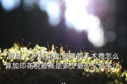 股票一戶(hù)通,索通發(fā)展股票