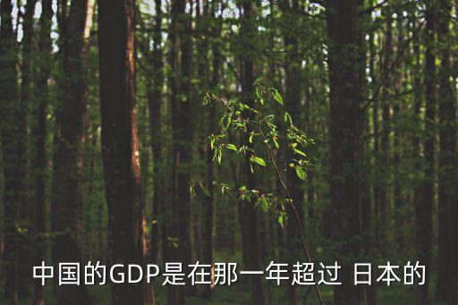 中國(guó)的GDP是在那一年超過 日本的