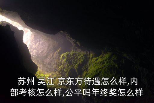  蘇州 吳江 京東方待遇怎么樣,內部考核怎么樣,公平嗎年終獎怎么樣