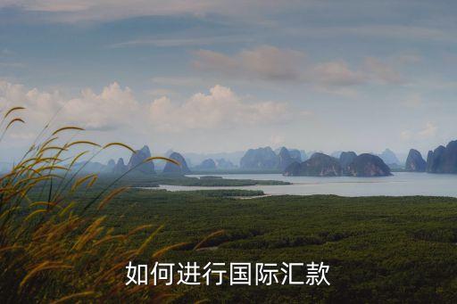 申請(qǐng)印度銀行賬戶,怎么在中國申請(qǐng)wise銀行賬戶