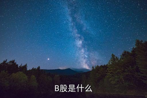 B股是什么