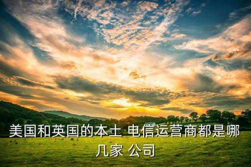 美國和英國的本土 電信運營商都是哪幾家 公司