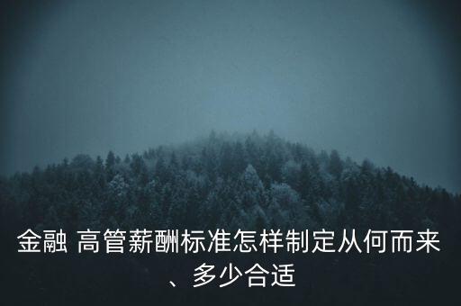 金融 高管薪酬標(biāo)準(zhǔn)怎樣制定從何而來、多少合適