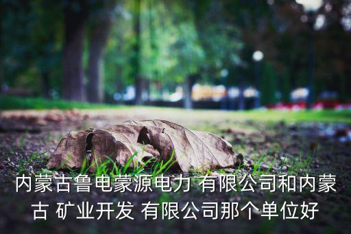 內蒙古魯電蒙源電力 有限公司和內蒙古 礦業(yè)開發(fā) 有限公司那個單位好