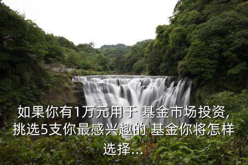基金挑選工具,怎樣挑選基金要看什么指標