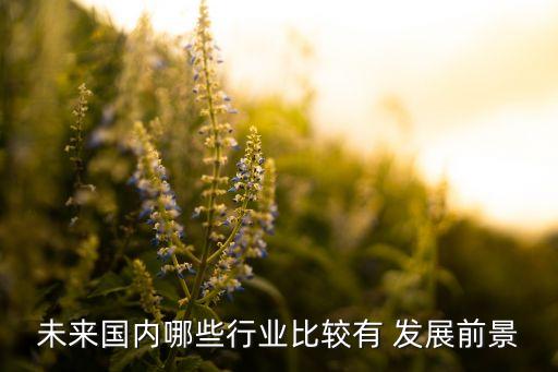 未來國(guó)內(nèi)哪些行業(yè)比較有 發(fā)展前景