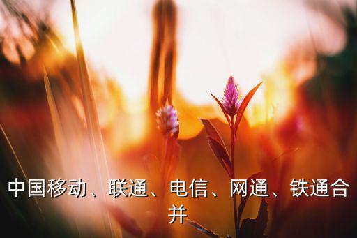 中國移動、聯(lián)通、電信、網(wǎng)通、鐵通合并