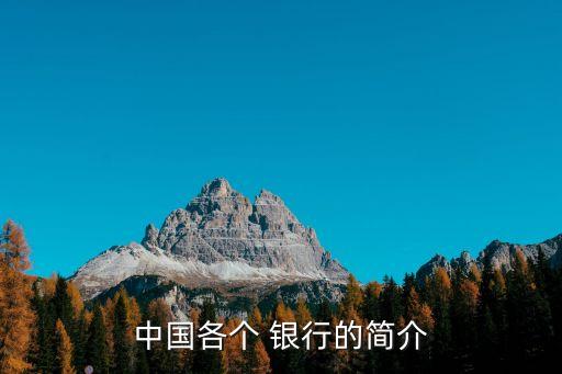 我國(guó)第一家上市的銀行是哪家