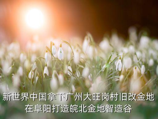 金地集團(tuán)陽(yáng)侃,麥金地集團(tuán)