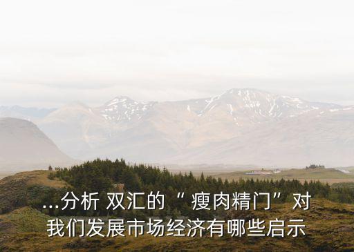 雙匯瘦肉精事件對集團影響,雙匯集團瘦肉精內部控制的現(xiàn)實意義