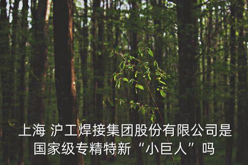 上海 滬工焊接集團股份有限公司是國家級專精特新“小巨人”嗎