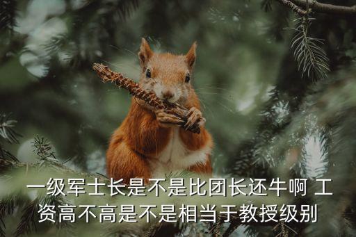  一級(jí)軍士長是不是比團(tuán)長還牛啊 工資高不高是不是相當(dāng)于教授級(jí)別