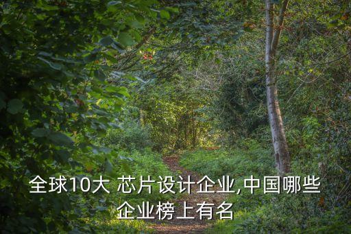 全球10大 芯片設計企業(yè),中國哪些企業(yè)榜上有名