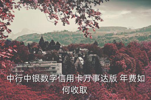 中行中銀數(shù)字信用卡萬事達(dá)版 年費(fèi)如何收取
