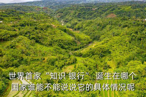 世界首家“知識 銀行” 誕生在哪個(gè)國家誰能不能說說它的具體情況呢