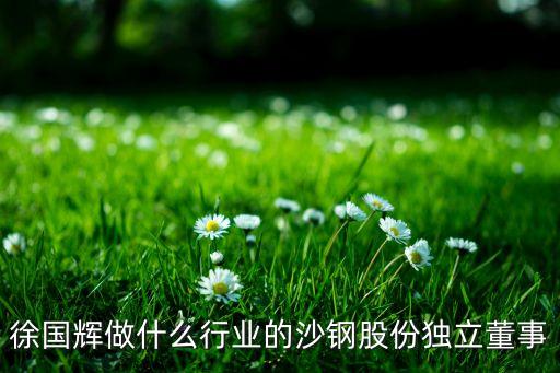 徐國輝做什么行業(yè)的沙鋼股份獨立董事