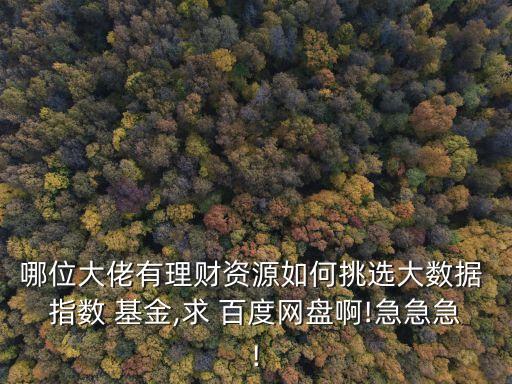 哪位大佬有理財(cái)資源如何挑選大數(shù)據(jù) 指數(shù) 基金,求 百度網(wǎng)盤(pán)啊!急急急!