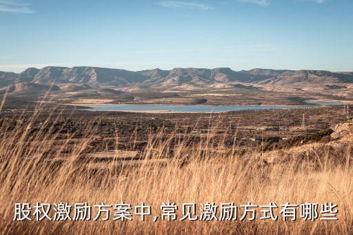 股權(quán)激勵方案中,常見激勵方式有哪些