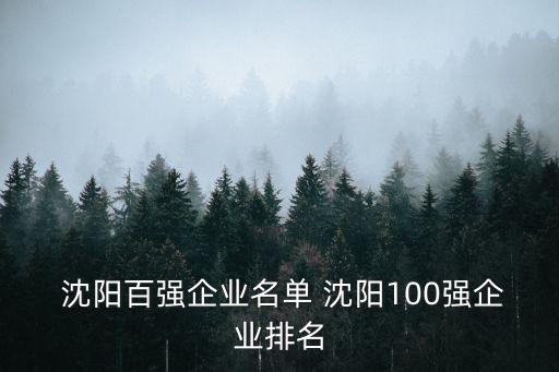 沈陽化工集團(tuán)待遇