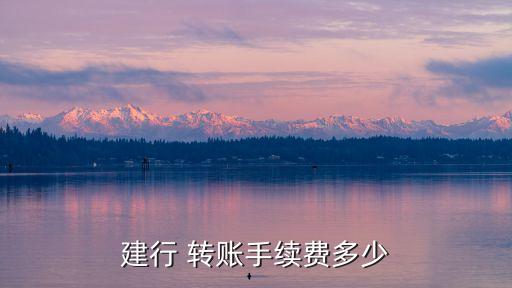 建行 轉(zhuǎn)賬手續(xù)費多少