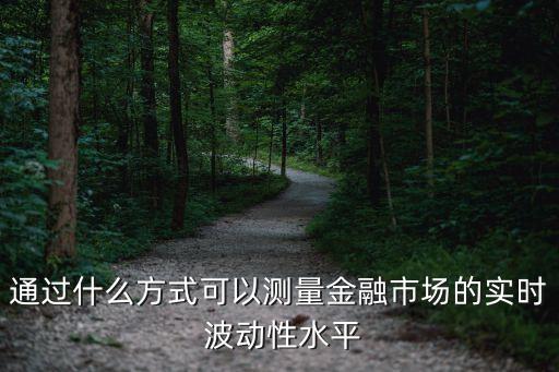 通過什么方式可以測(cè)量金融市場(chǎng)的實(shí)時(shí) 波動(dòng)性水平