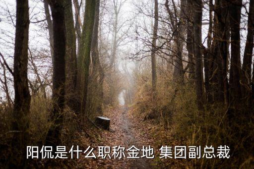  陽(yáng)侃是什么職稱金地 集團(tuán)副總裁